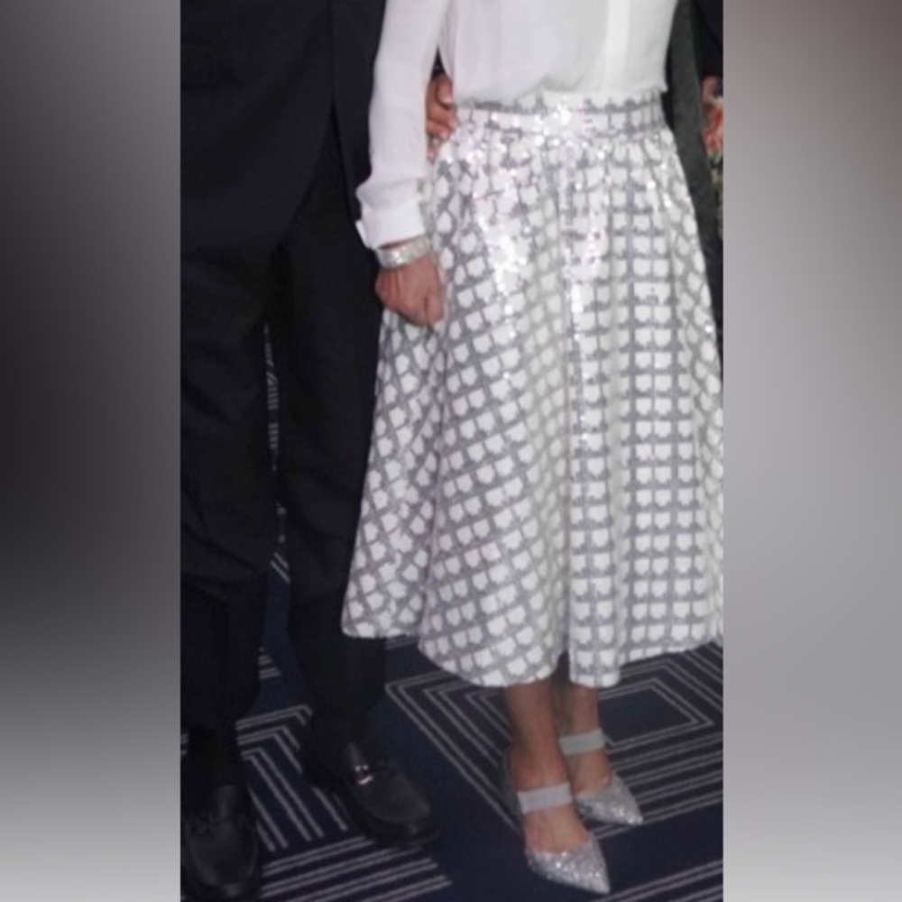 Elegant White and Silver skirt plus top